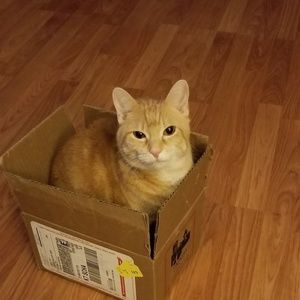 Meet your Posher, Honey